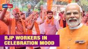 Gujarat Elections: Celebration By BJP Workers, As Party Gets Majority In Trends